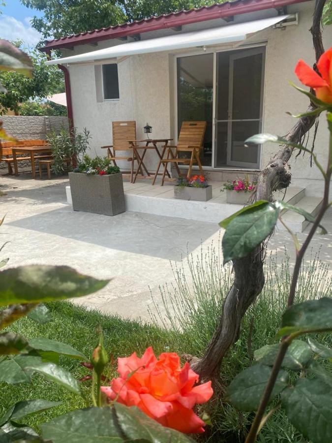 艾福雷诺德 Casa Mateiana酒店 外观 照片