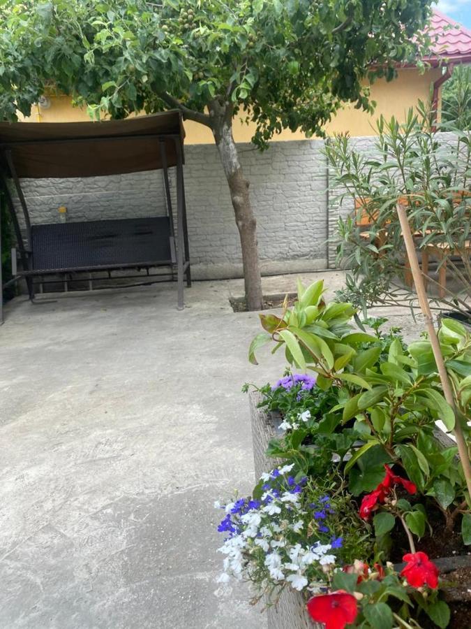 艾福雷诺德 Casa Mateiana酒店 外观 照片